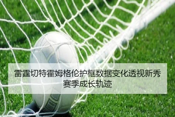 雷霆切特霍姆格伦护框数据变化透视新秀赛季成长轨迹