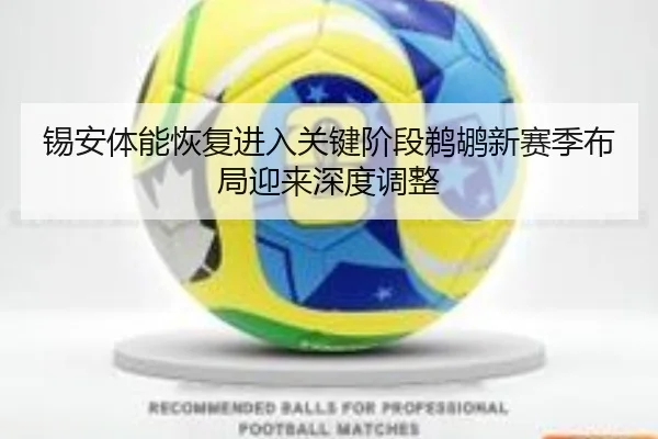 锡安体能恢复进入关键阶段鹈鹕新赛季布局迎来深度调整